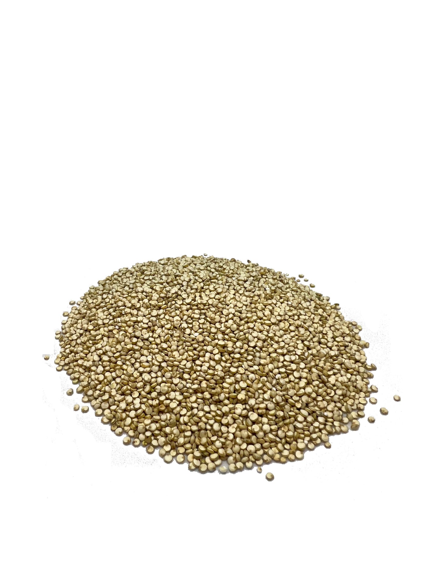 Quinoa Grain